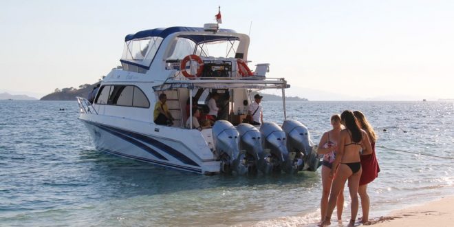 1 Day Komodo Tour by Speed Boat